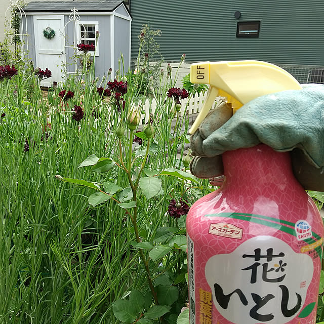 hiramariさんの実例写真
