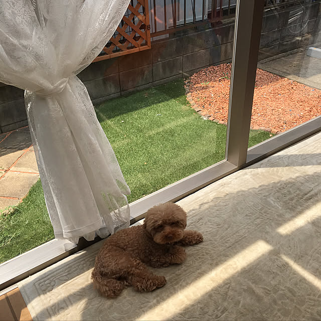 moka0427さんの実例写真