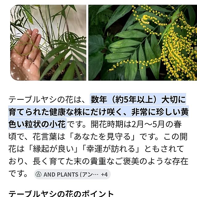 midoriさんの部屋