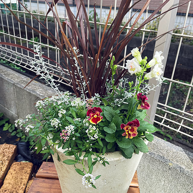 hanaさんの実例写真