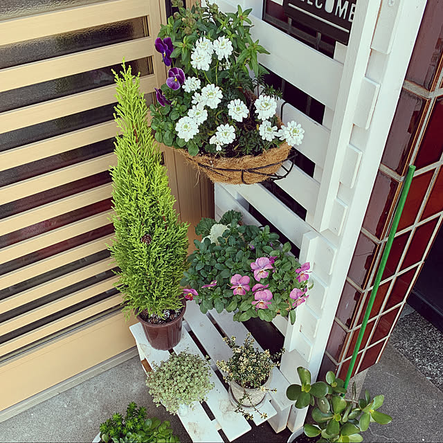 reynoldstpさんの実例写真