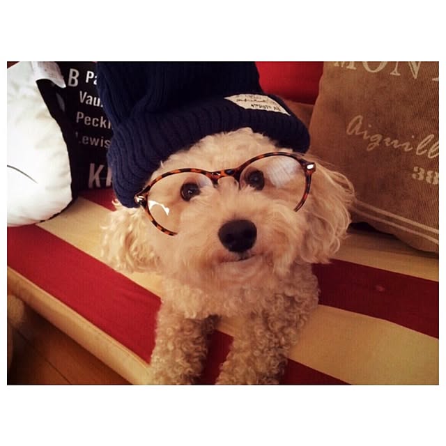 MkRさんの実例写真