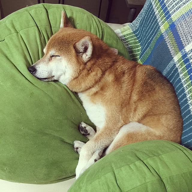 hirochocoさんの実例写真