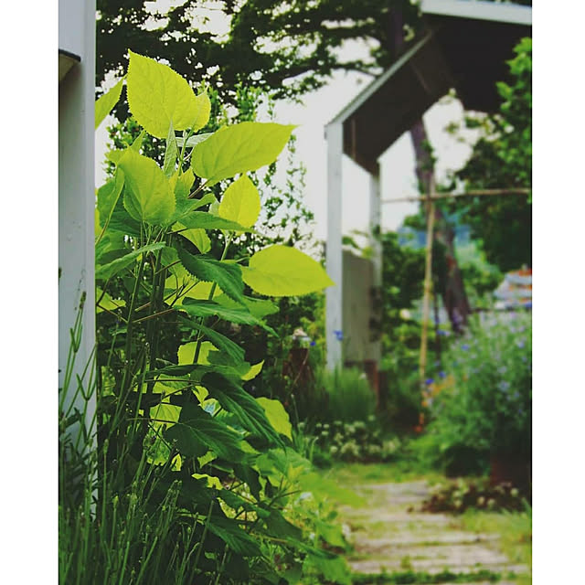yukiさんの実例写真