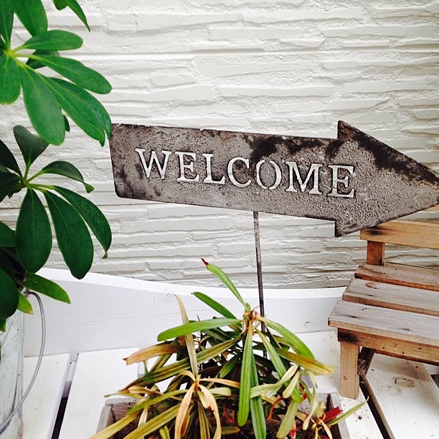 kemurin-monrouさんの実例写真