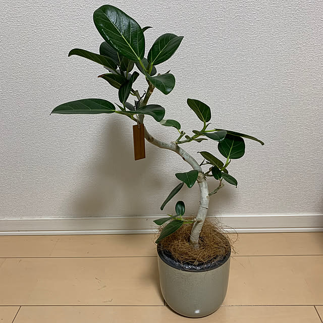 jeyさんの部屋