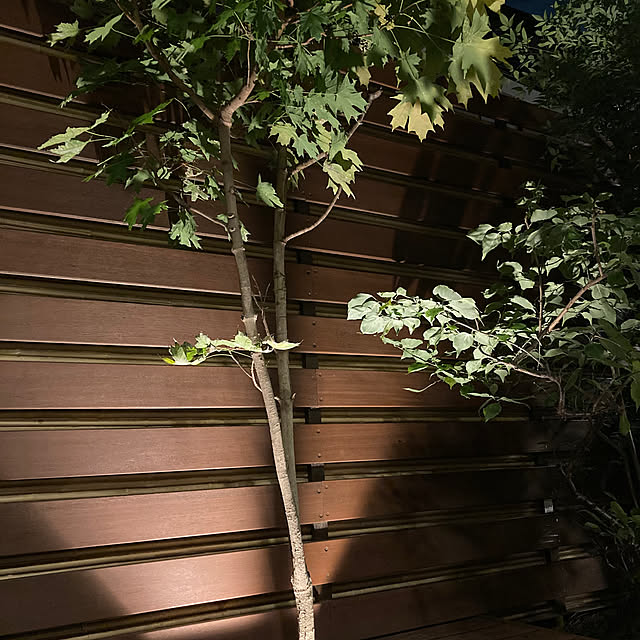 kayokos0801さんの部屋