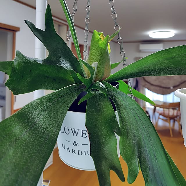 nachiさんの実例写真