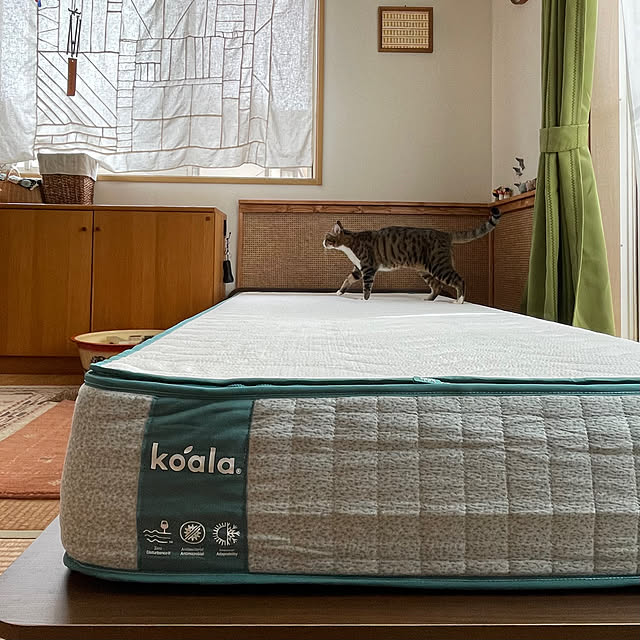 nobikoさんの部屋