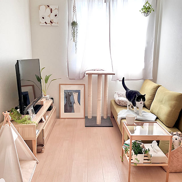 kiyomiさんの部屋