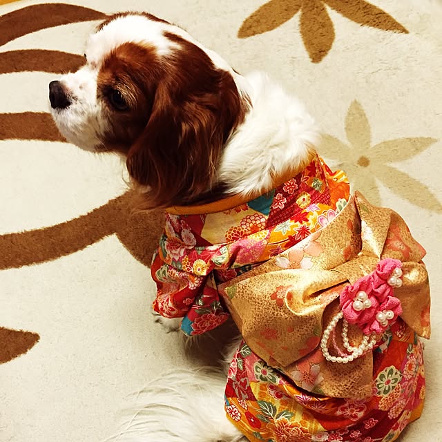 canmilmamaさんの実例写真