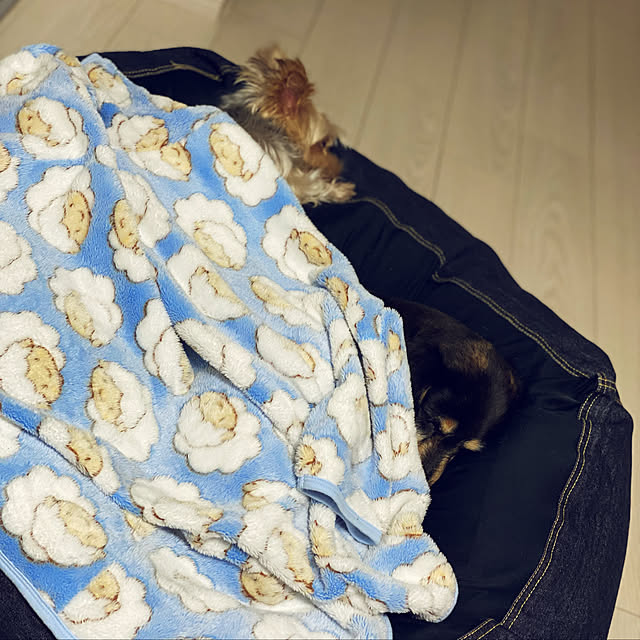 ohanaさんの実例写真