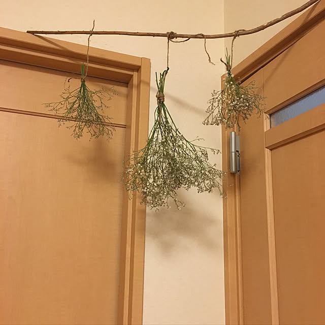 mi.....さんの実例写真