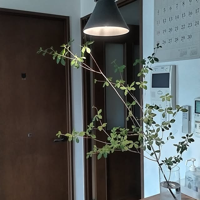 sakiさんの実例写真
