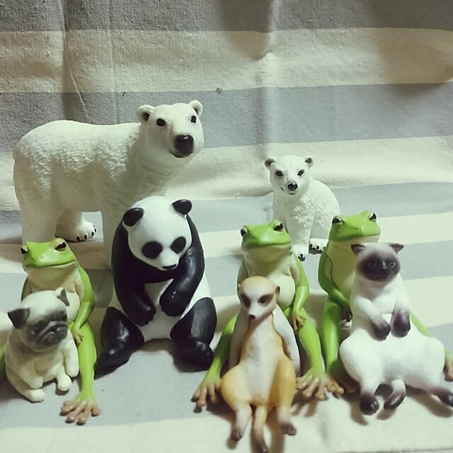 marokoさんの実例写真
