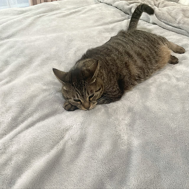 Shinさんの実例写真