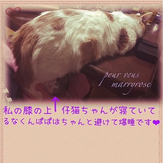 maria.rさんの実例写真