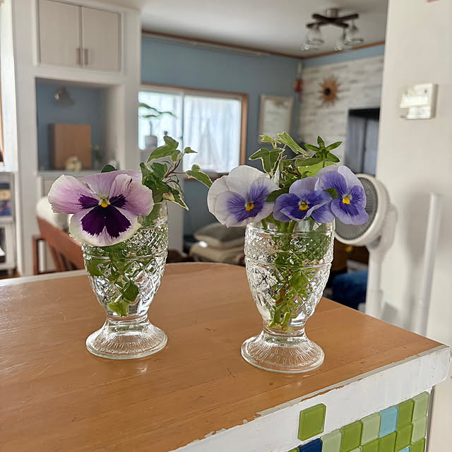 puriyuzuさんの部屋