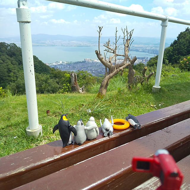 Haさんの実例写真