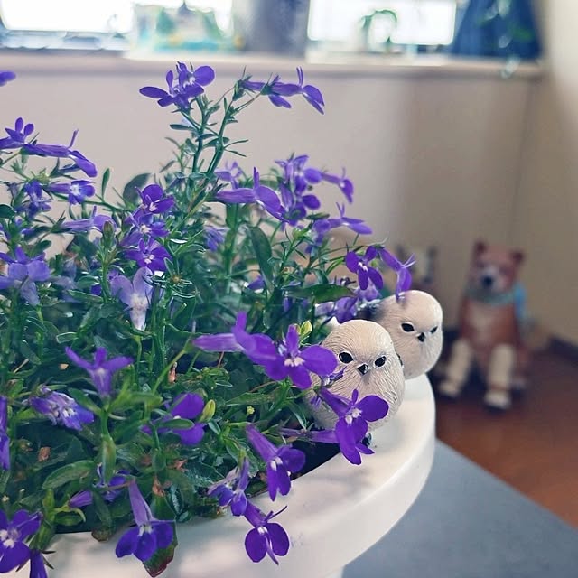 NOAHさんの部屋