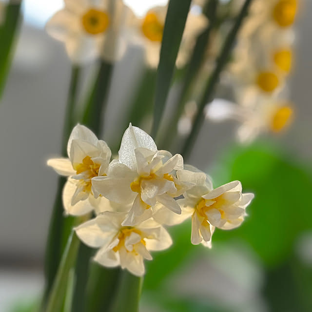 Aqettyさんの実例写真