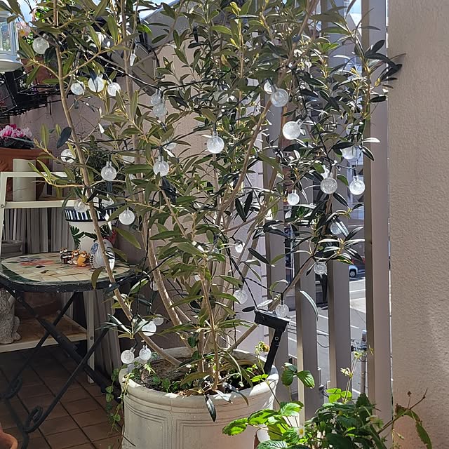 berryberryさんの部屋