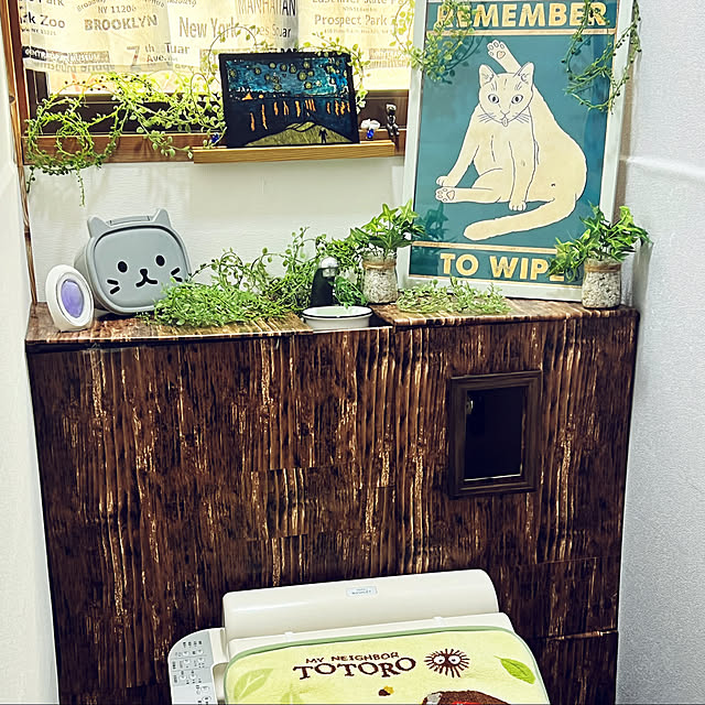cat5さんの実例写真