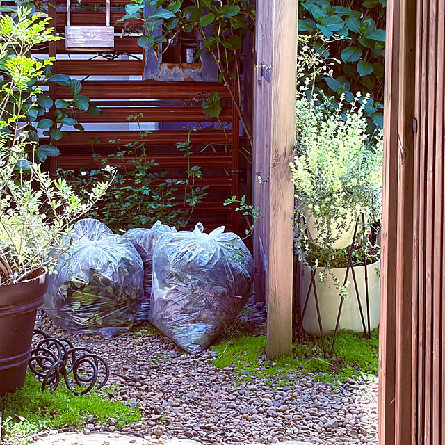 chacoさんの部屋