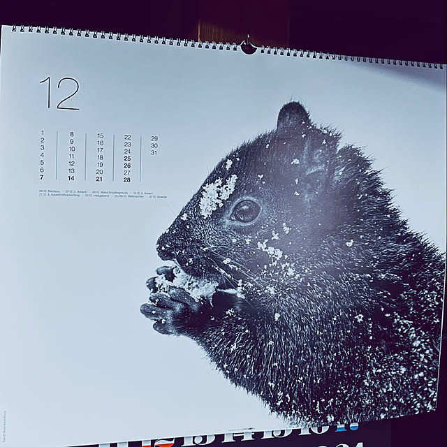 chacoさんの実例写真