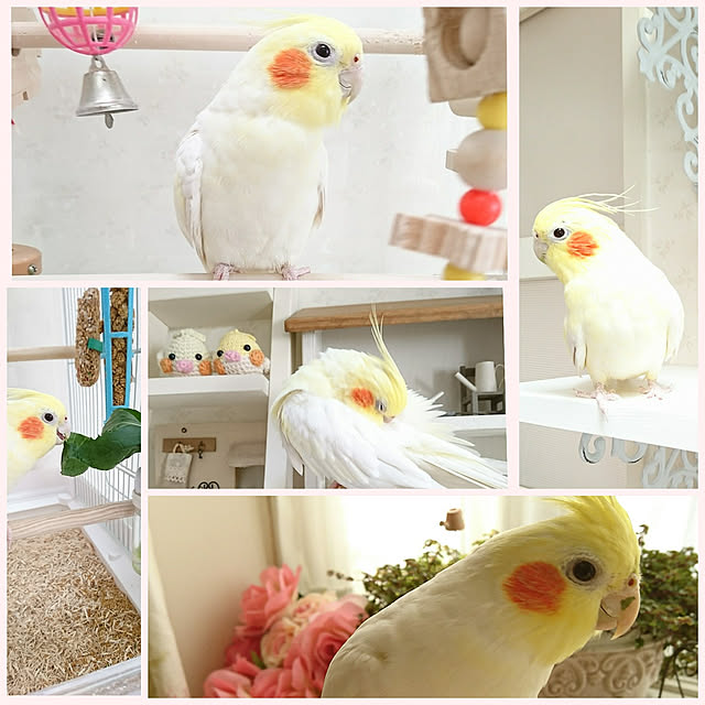 fleur-mamanさんの実例写真