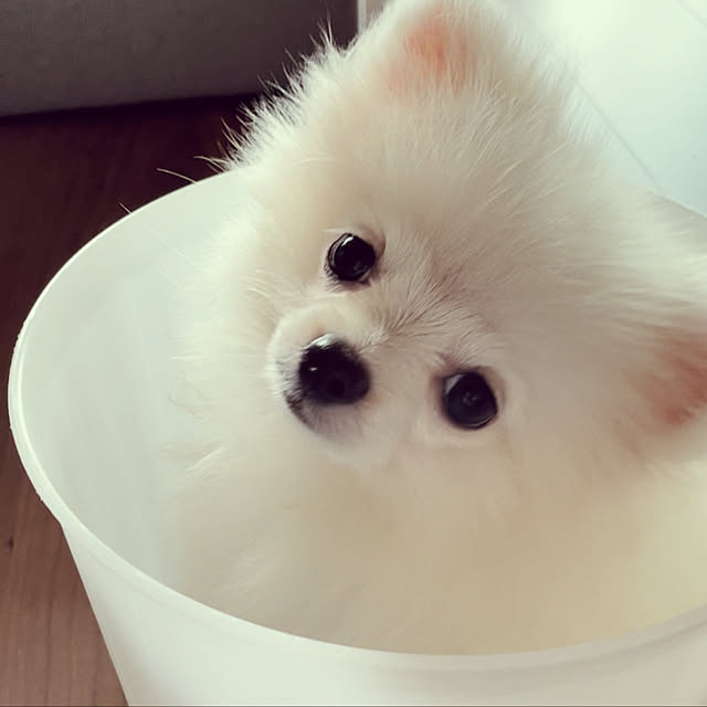 Mさんの実例写真