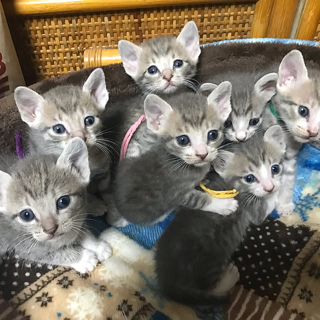 実例写真