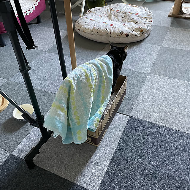momocchiさんの実例写真