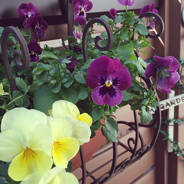 mgardenさんの実例写真