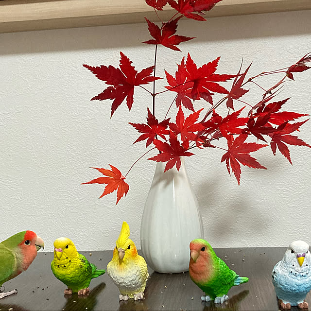 toratanさんの実例写真