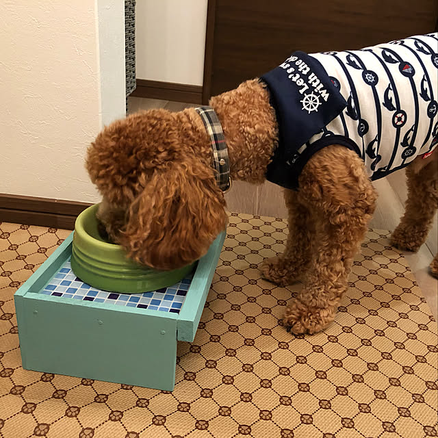 okachanさんの実例写真