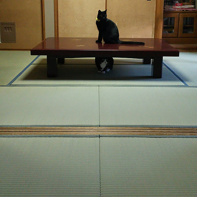 ebichiriさんの実例写真
