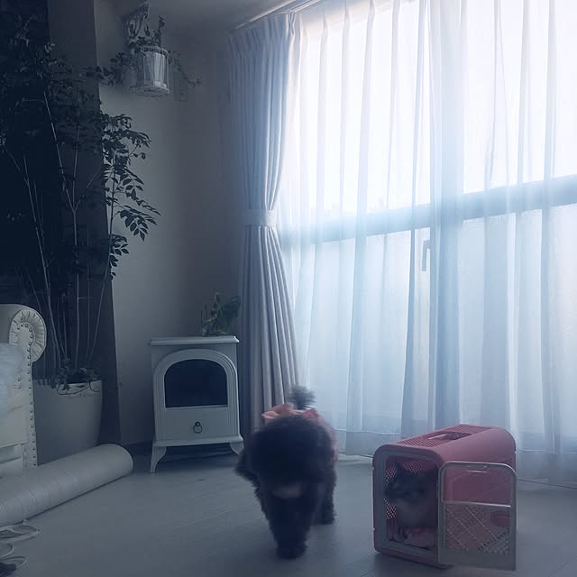 noelさんの実例写真