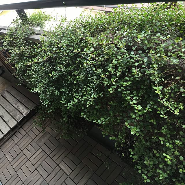 mari.21さんの実例写真