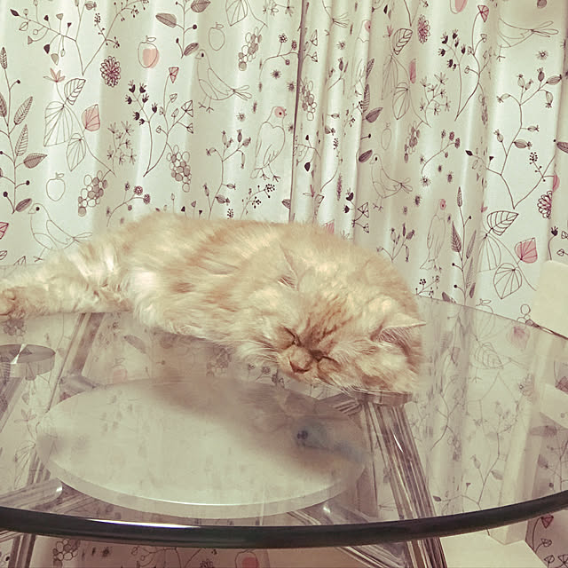 roseさんの実例写真