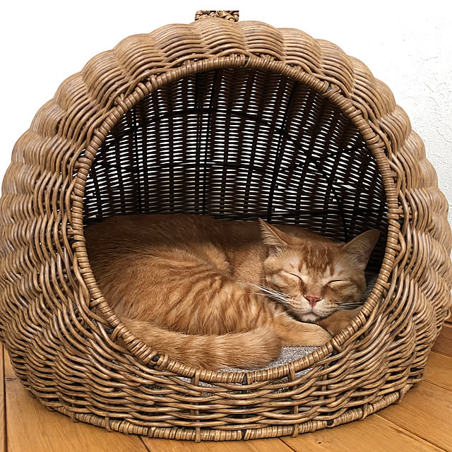 Hisashiさんの実例写真