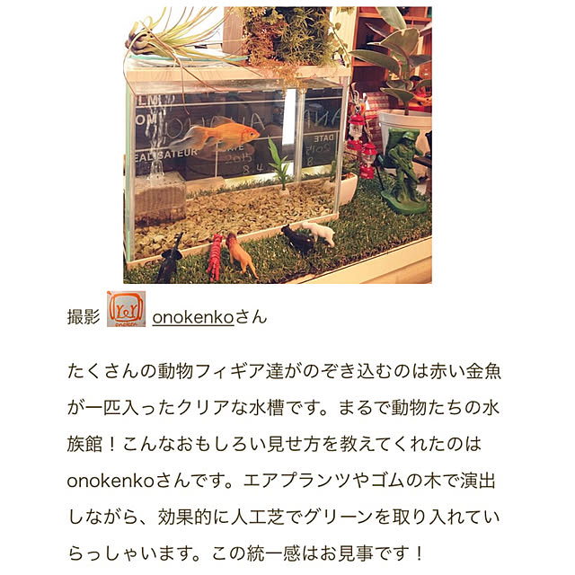 onokenkoさんの実例写真