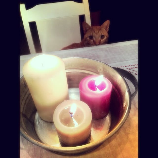 n-sanさんの実例写真