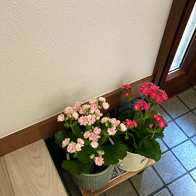 mommyさんの部屋