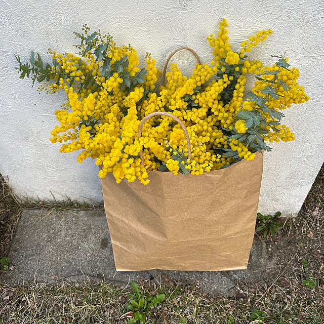 hatsuseさんの実例写真