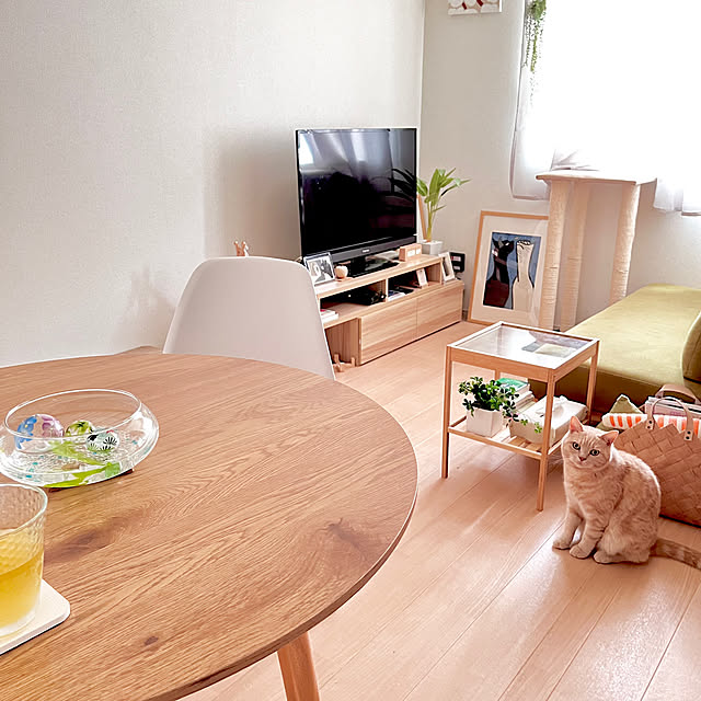 kiyomiさんの実例写真