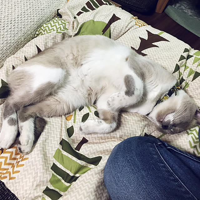 michikoさんの実例写真
