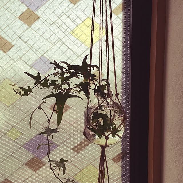 壁/天井/観葉植物/100均/ハンドメイド/ナチュラルのインテリア実例 - 2016-06-27 19:30:25
