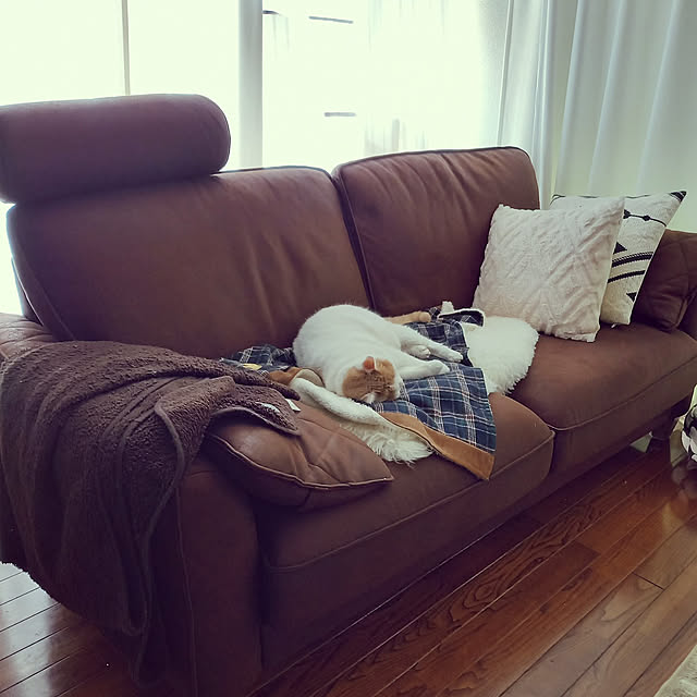 amutantanさんの実例写真