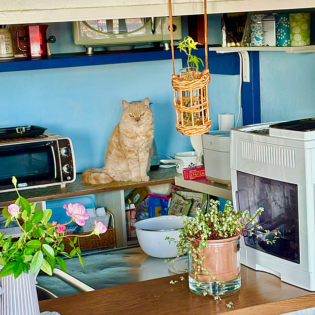 naokoさんの部屋